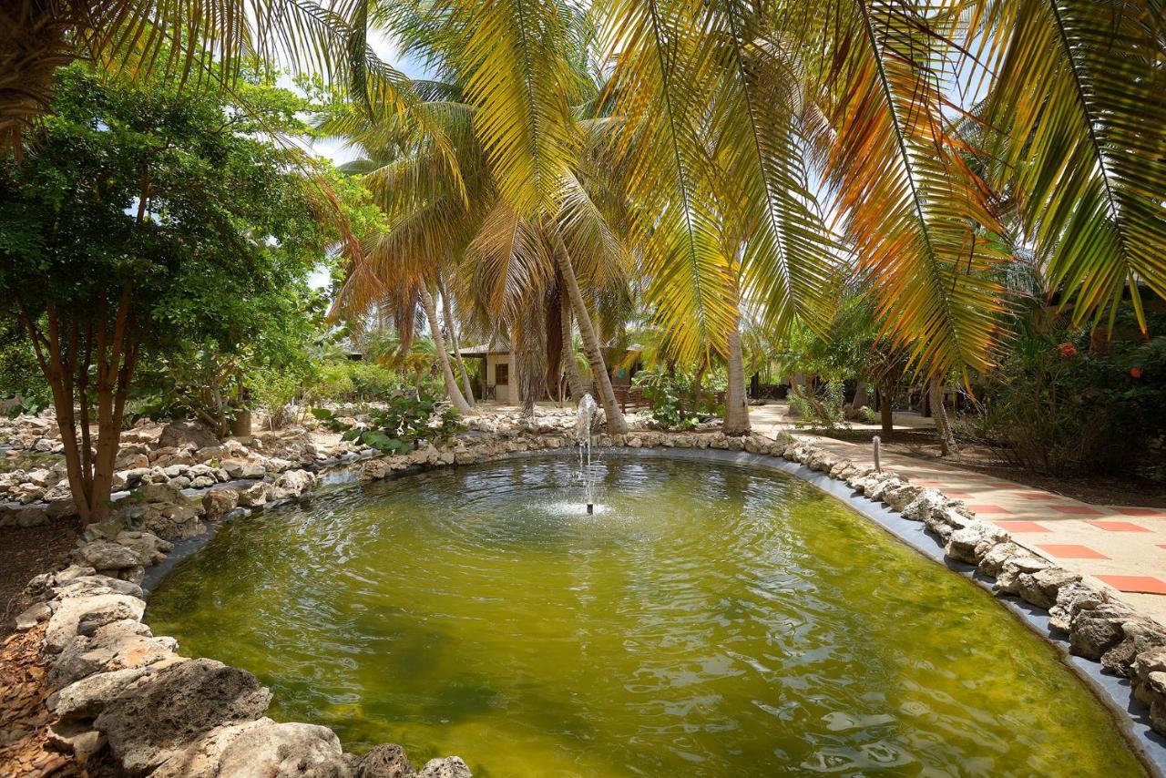 Captain Don'S Habitat Playa Extérieur photo